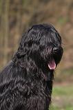 BRIARD 227